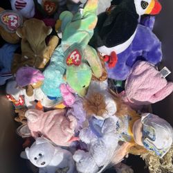 TY Beanie Babies Lot