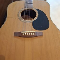 Guitar