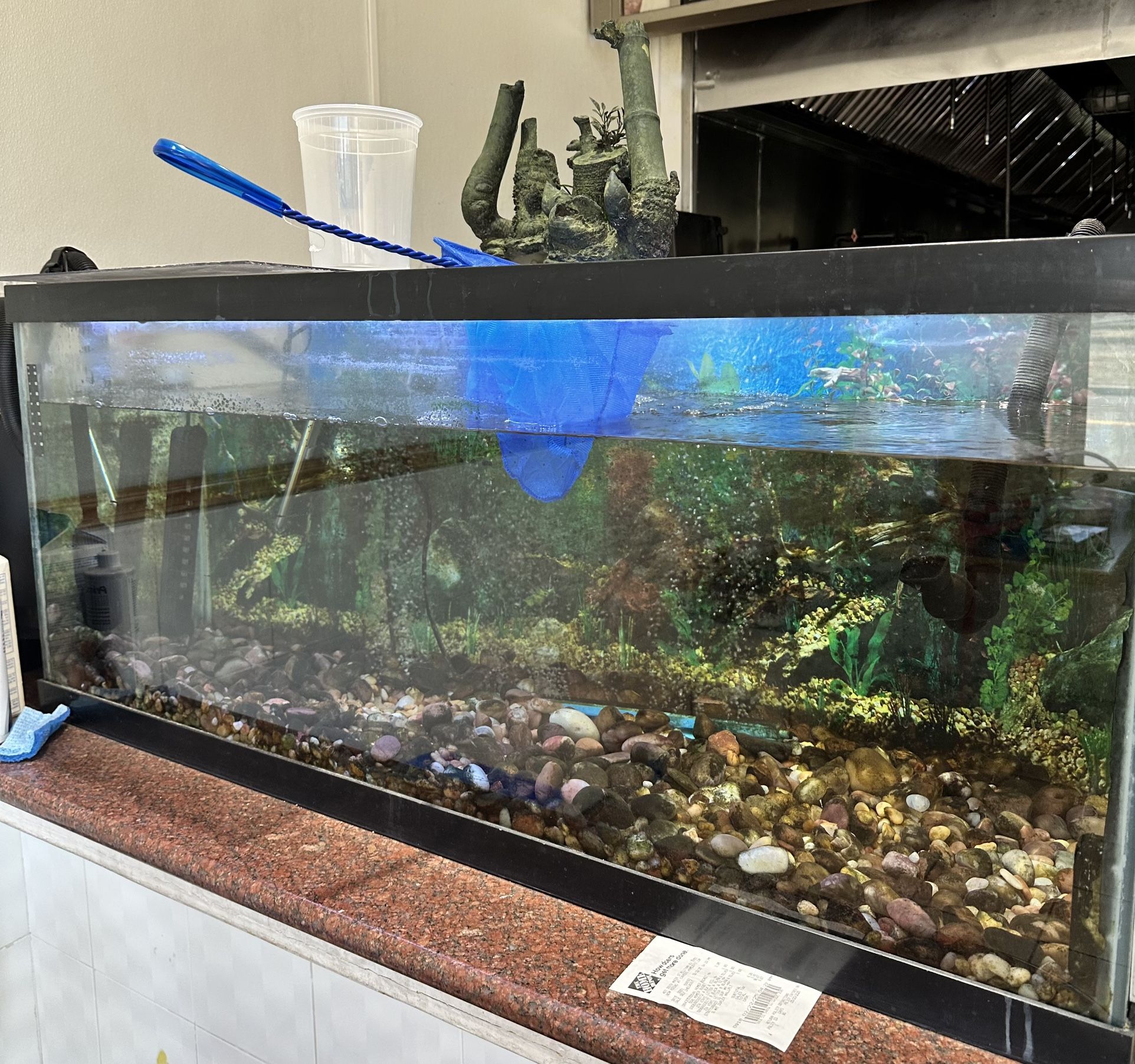 75 Gallon Fish Tank + Fluval FX6