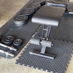 Weights, Dumbells, Bench, Mats, Pull Up Bar