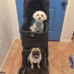 Double Decker Pet Stroller - Luxury 2-Tier Carrier for Dogs & Cats