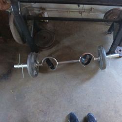 Olympic Super Curl Bar