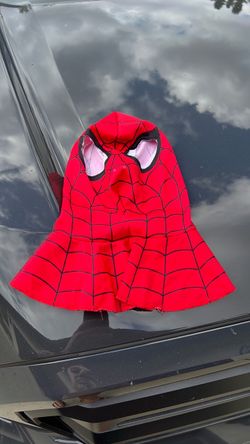 Spider-Man Costume Mask Hood