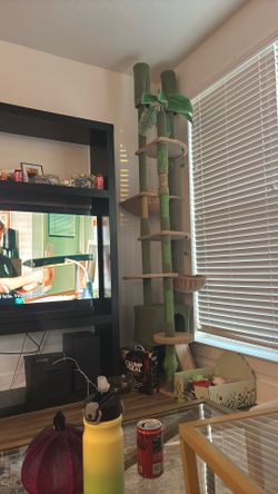 Cat Tree