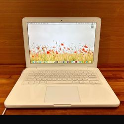 Apple MacBooks 09 8GB RAM 240GB SSD Video//photo editing Audio recording Fully Functional!!