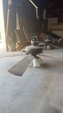 Ceiling Fans