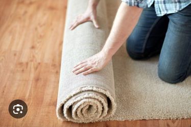 Brand New Carpet Beige