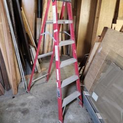 6ft Ladder 