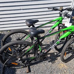 Two Electric Mountain Bike