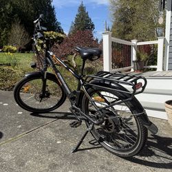 RAD Electric Bike