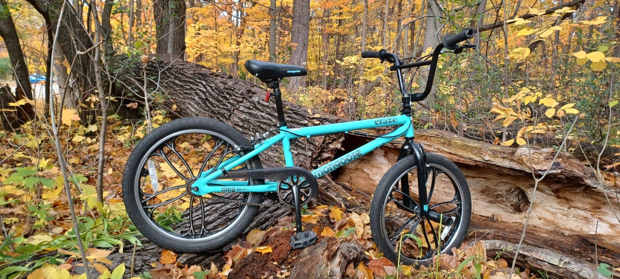MONGOOSE CRAZE Boys and Girls 20 inch Kids BMX Bike, Ages 6+, Black and Mint
SERIAL SNFSD18M70744 AVAILABLE DELIVERY