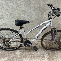 Bicycle