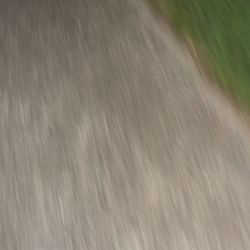 In Need Of A Vehicle