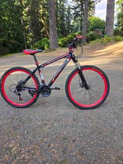 Aoyunma 21 speed bicycle