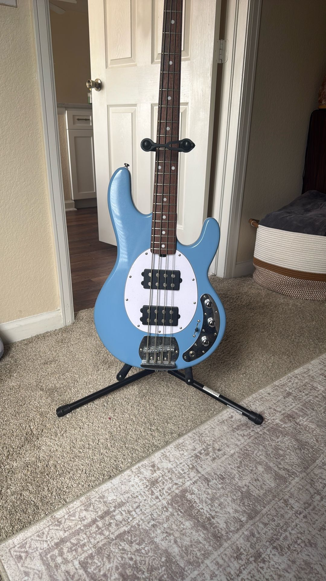 Stingray Bass Guitar 