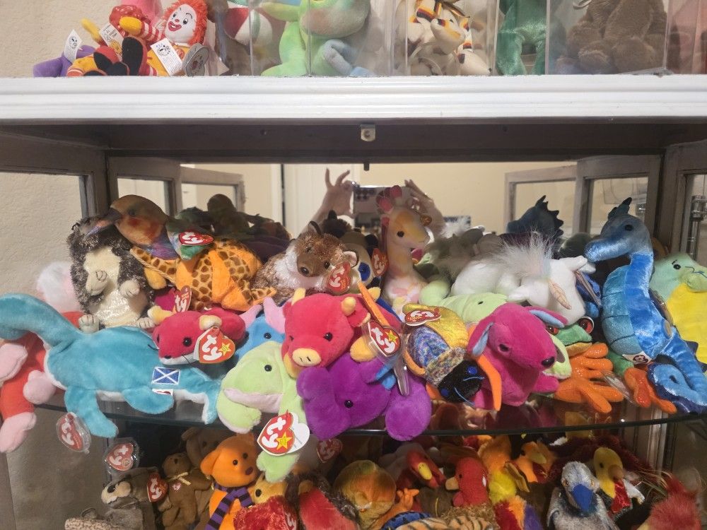 Beanie Babies TY