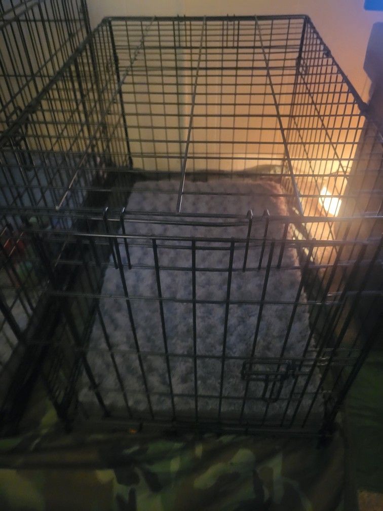 3 Medium Dog Crates with washable beds. Sold Individually.
