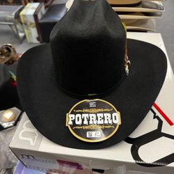 Portero Texana 30x Negra - Varias Medidas 