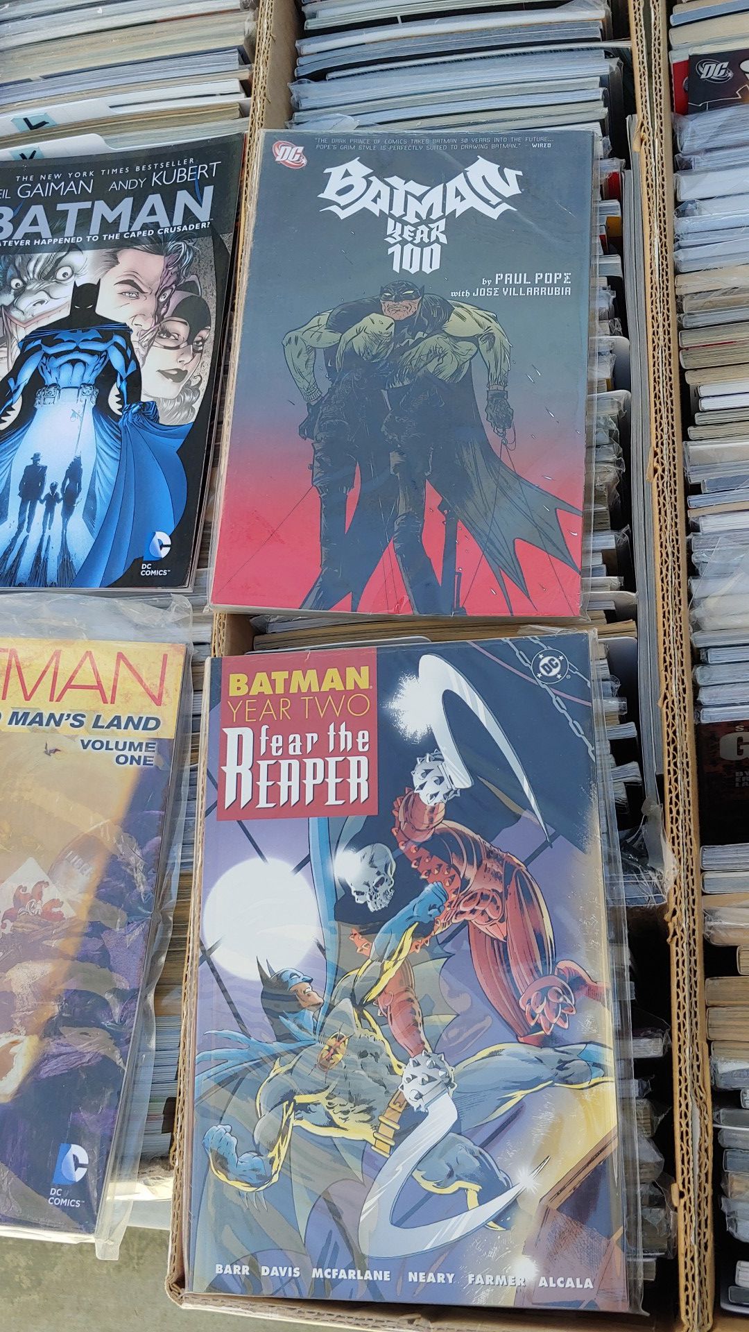 Batman graphic novel lot