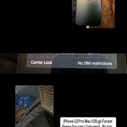 iPhone 13 Pro Max 128 Gb Forest Green 