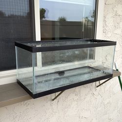 Free 20G long fish tank with lid