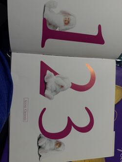 Photo Shoot Baby Books❤️
