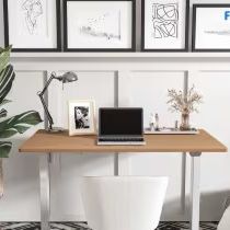 Flexispot Adjustable Maple Standing Desk 42x24 Rectangle White Frame 