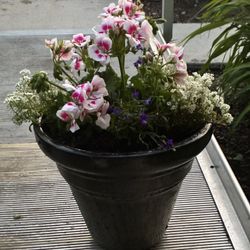 Ceramic Flower Pot 