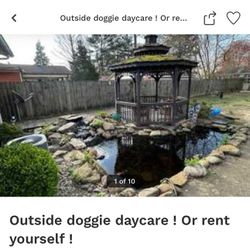 Outside Doggie Daycare 