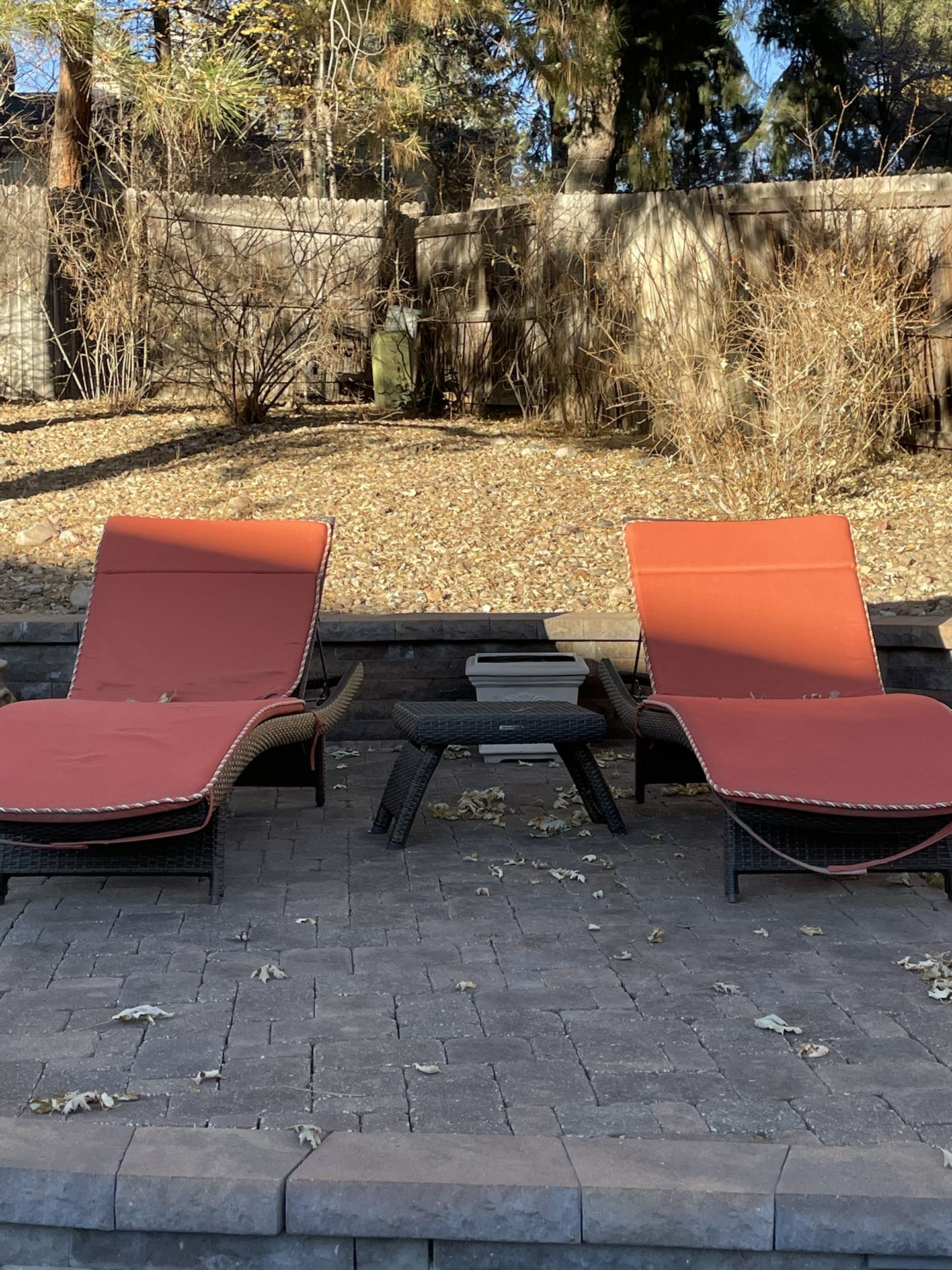 Front gate Chaise Lounge Chairs