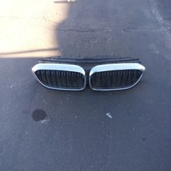 2018-2020 BMW 530E Front Grille OEM 