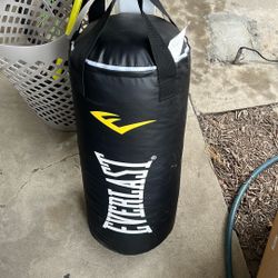 Punching bag - Everlast 