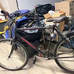 12 speed mountain Bike. 