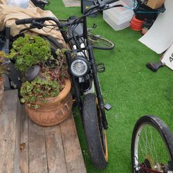 Panther E Bike 