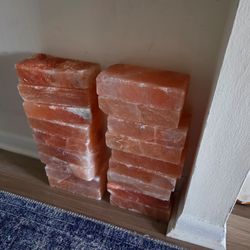 Himalayan salt bricks
