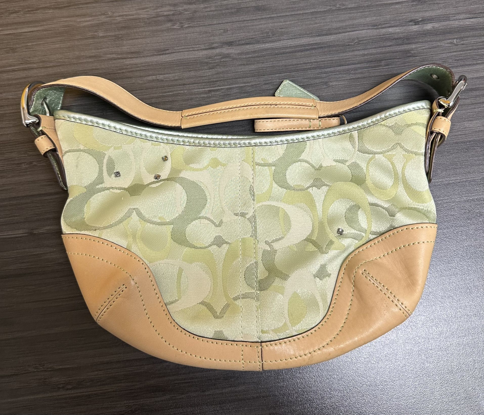 Coach Ltd Ed Green Signature C Optic Hobo Ladybug Bag Purse