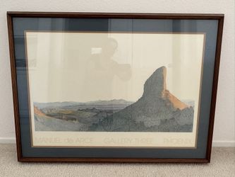 Large Framed Print