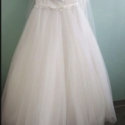 Wedding Dress With The Veil 