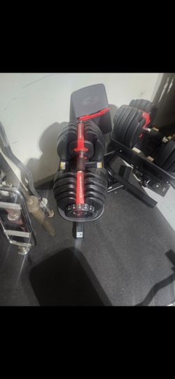 Bowflex Dumbells