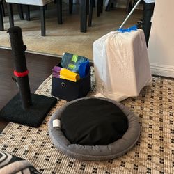 Stater Kit For Kitten 