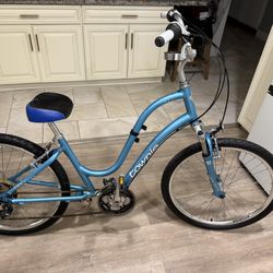 Townnie Women’s Bike