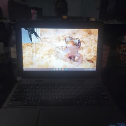 Chrome Book 