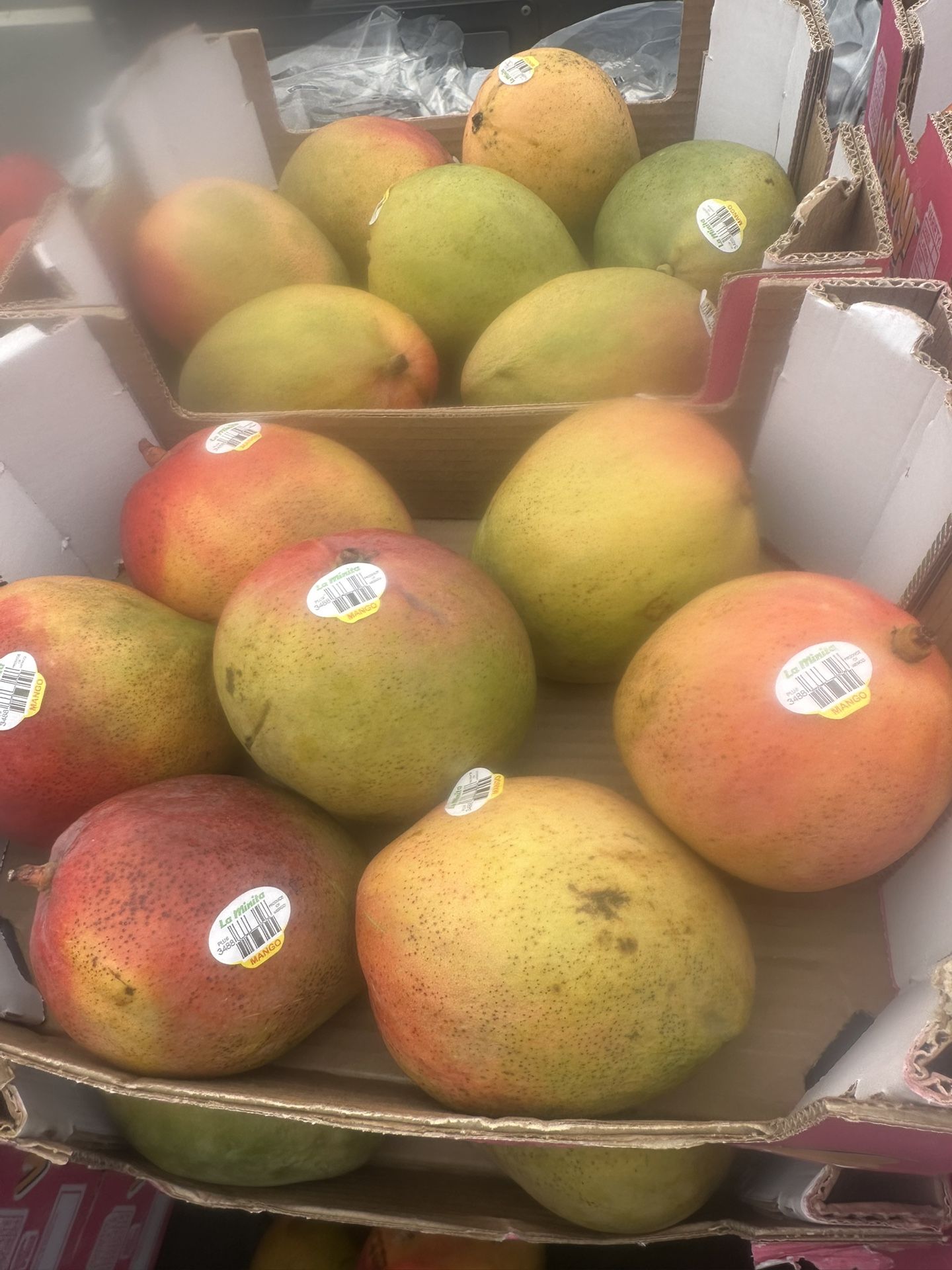 Boxes Of Mangos For Sale 