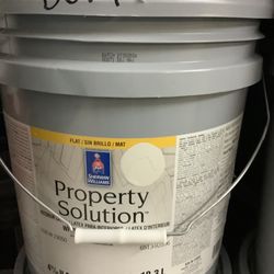 Interior Paint (Drift Of Mist)