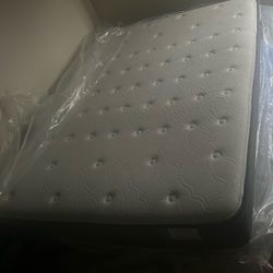 Brand New Mattress Set
