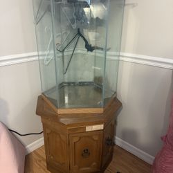75 Gallon Fish Tank And Stand.  