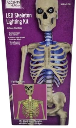 Color Changing LED 12 ft Skelly Lighting Kit (this is for lighting kit only-no skeleton)