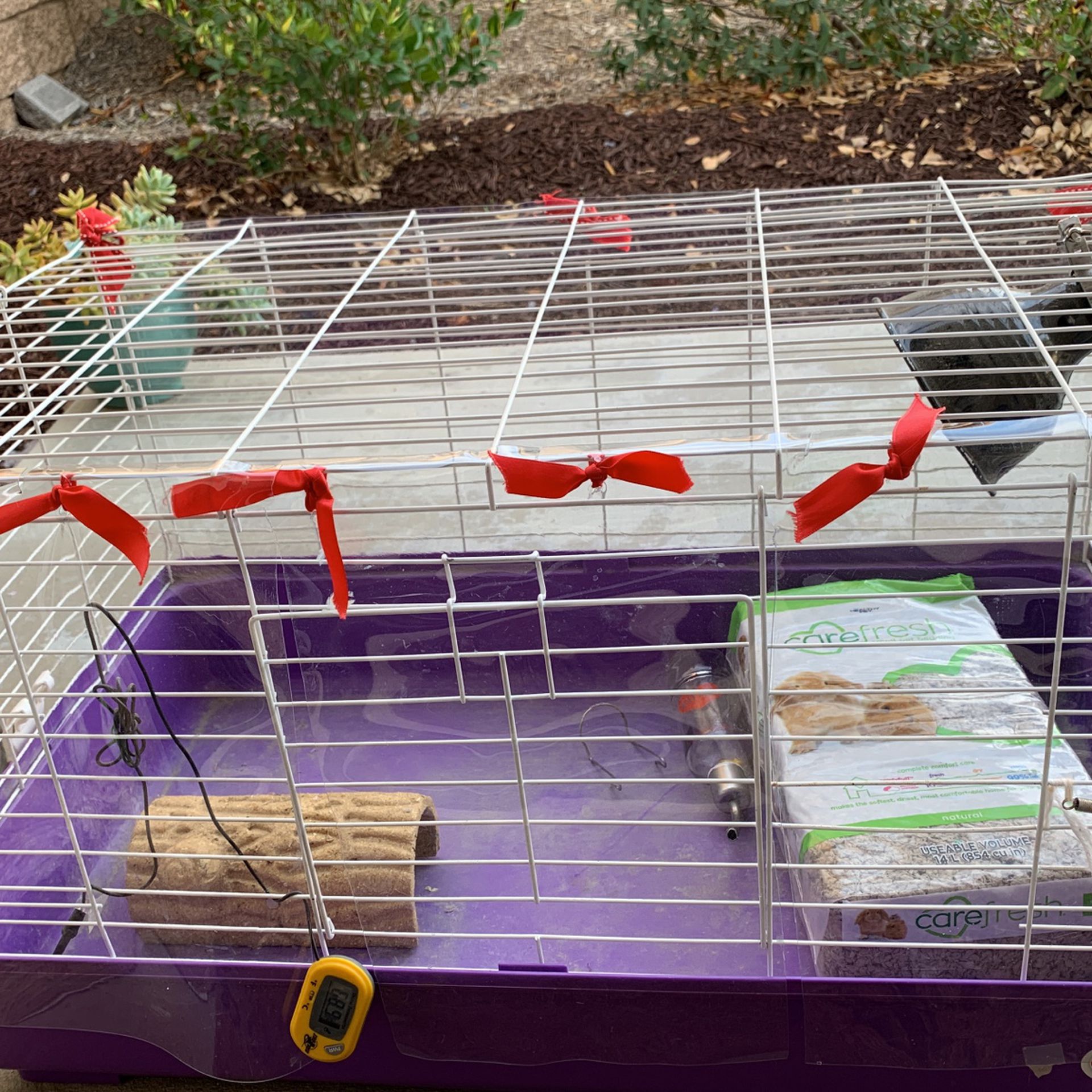 Free Guinea Pig/Hamster Cage 