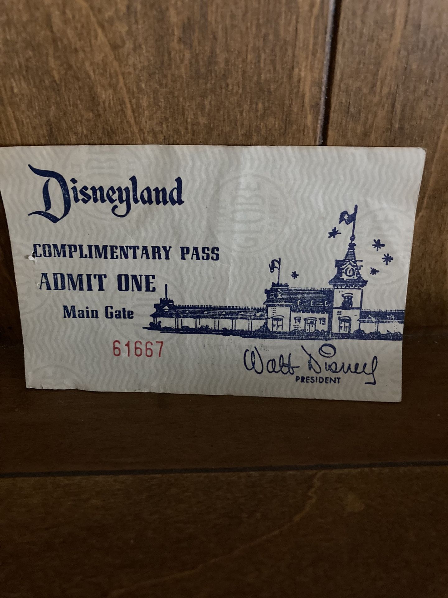 Disneyland Admission Ticket