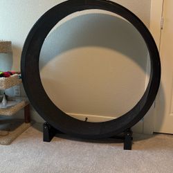 Cat exercise Wheel